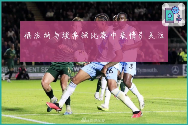 福法纳与埃弗顿比赛中表情引关注