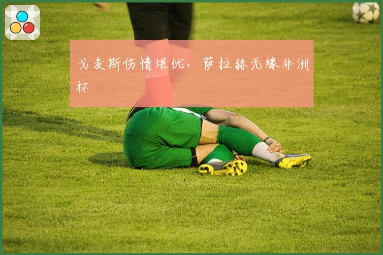 戈麦斯伤情堪忧，萨拉赫无缘非洲杯